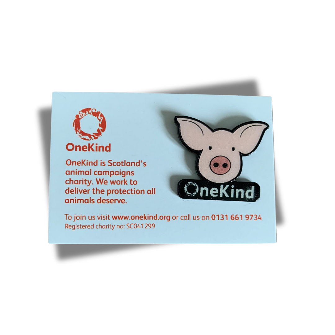 OneKind pig pin badge