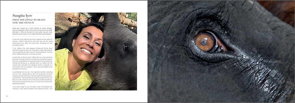 Pages from a beautiful book bringing together 57 charity founders, actors, poets, artists and photographers, each contributing a chapter explaining and celebrating their love of animals in personal words and stunning pictures.