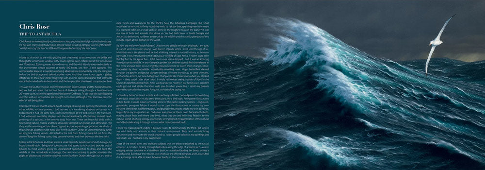 Pages from a beautiful book bringing together 57 charity founders, actors, poets, artists and photographers, each contributing a chapter explaining and celebrating their love of animals in personal words and stunning pictures.