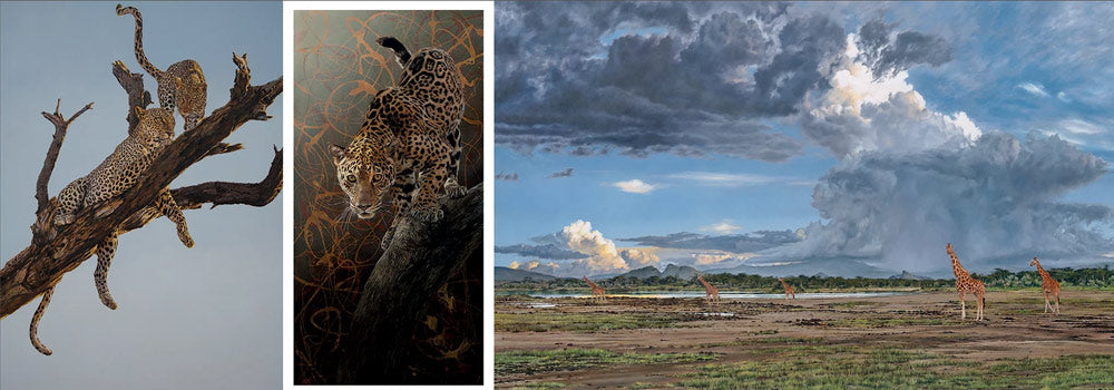 Pages from a beautiful book bringing together 57 charity founders, actors, poets, artists and photographers, each contributing a chapter explaining and celebrating their love of animals in personal words and stunning pictures.