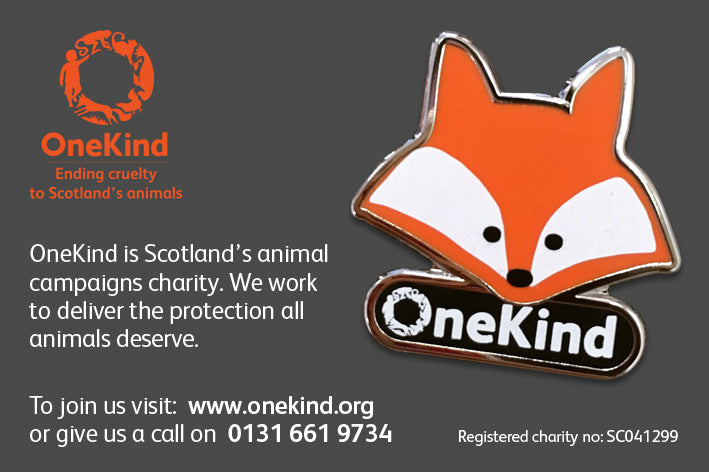 Pin badge with fox face and 'OneKind' on backing card with contact details.