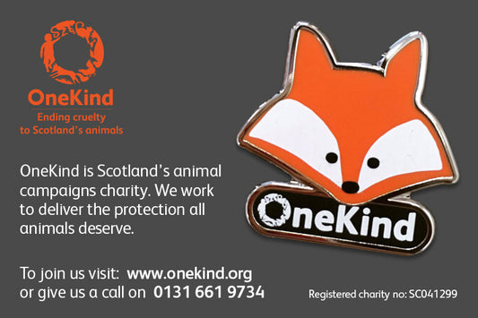 Pin badge with fox face and 'OneKind' on backing card with contact details.