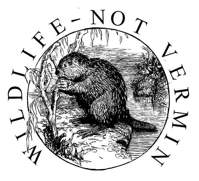 Wildlife Not Vermin t-shirt artwork with beaver