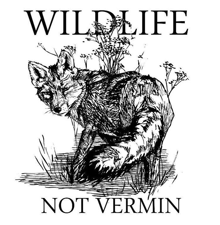 Wildlife Not Vermin t-shirt artwork with fox